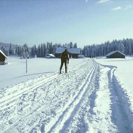 Appartement Nomad