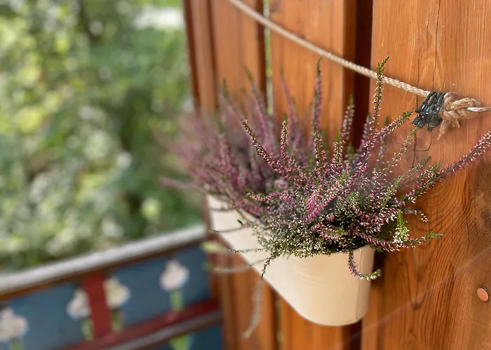 Apartmán Nomad Sklářská Poruba