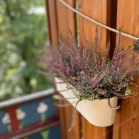 Apartmán Nomad Sklářská Poruba