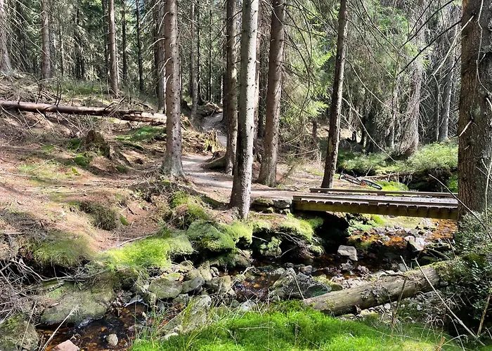 Nomad * 斯克拉斯卡波伦巴